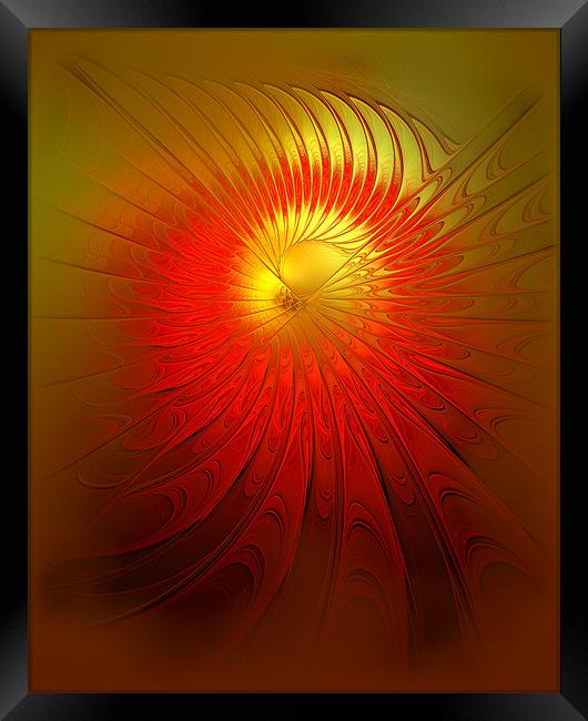 Sunflower Aflame Framed Print by Amanda Moore