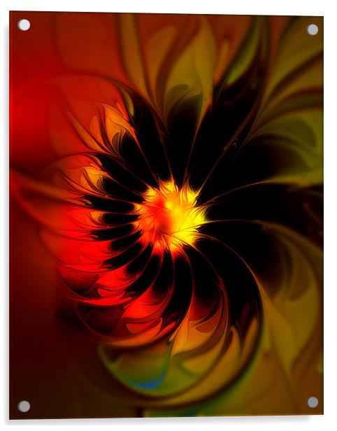 Mystical Bloom Acrylic by Amanda Moore
