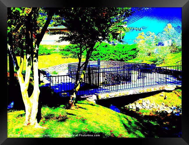 Willow Tree Park Solarized Framed Print by Stephanie Clayton
