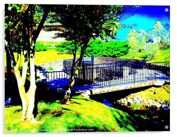 Willow Tree Park Solarized Acrylic by Stephanie Clayton