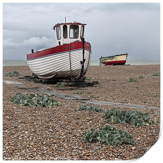 Rebecca, Dungeness, Kent Print by Dave Turner