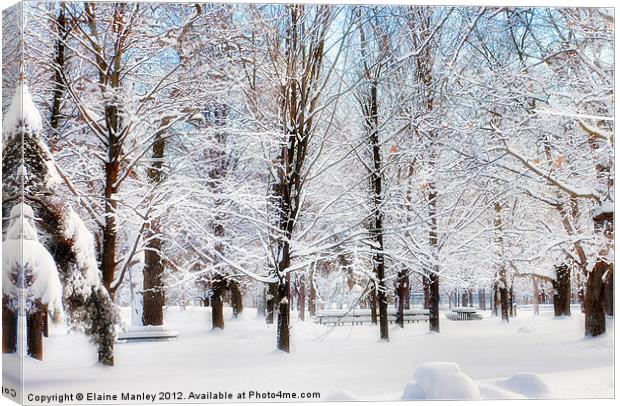 A Snowy Glow in the Park Canvas Print by Elaine Manley