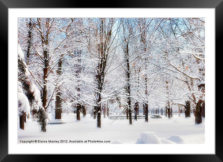 A Snowy Glow in the Park Framed Mounted Print by Elaine Manley