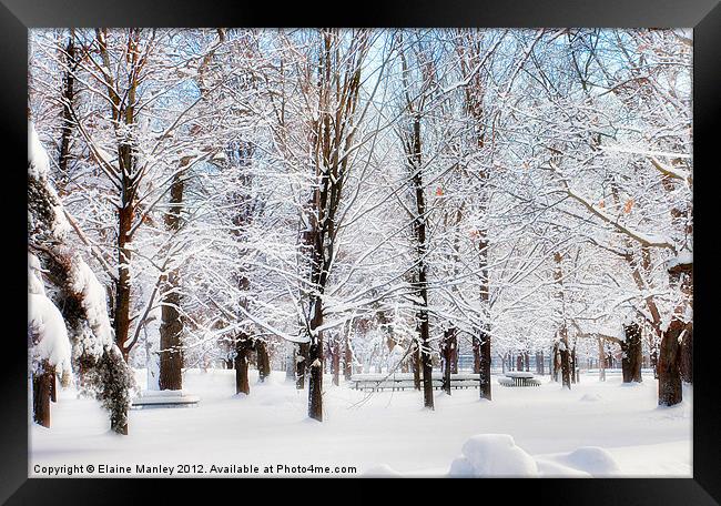 A Snowy Glow in the Park Framed Print by Elaine Manley