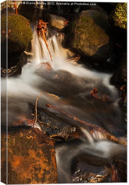 Lumsdale falls Canvas Print by Elaine Whitby