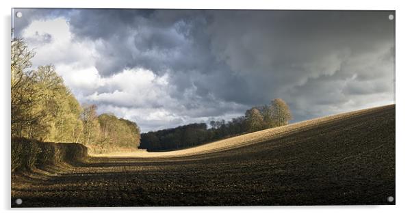 Winter field, showers Acrylic by Gary Eason