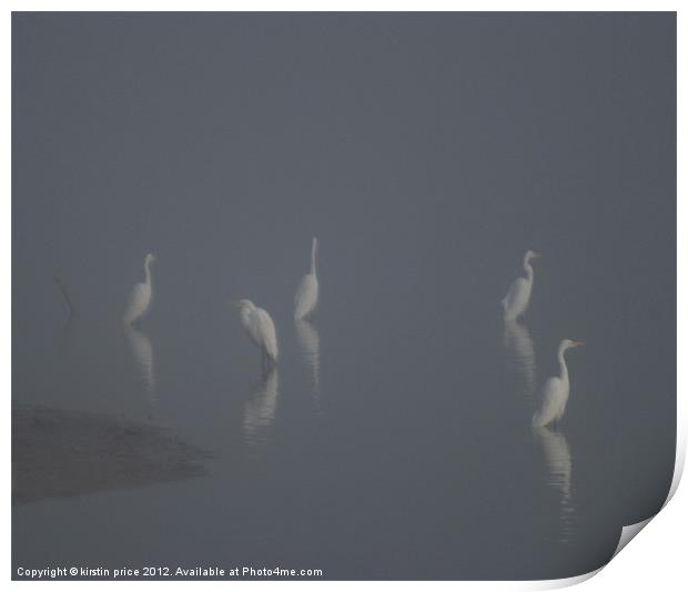 ghostly herons Print by kirstin price
