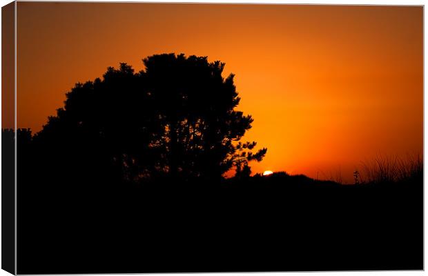 Sunset Silhouette Canvas Print by Roger Green