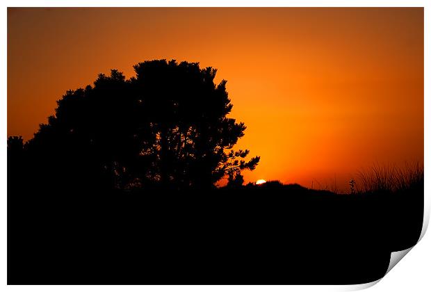 Sunset Silhouette Print by Roger Green
