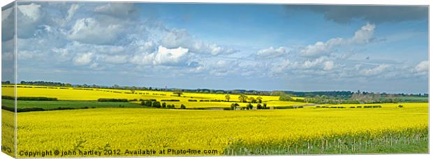 Mellow Yellow- Panoramic Rape Fields North Norfolk Canvas Print by john hartley