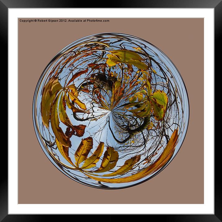 Spherical Autumn decay Framed Mounted Print by Robert Gipson