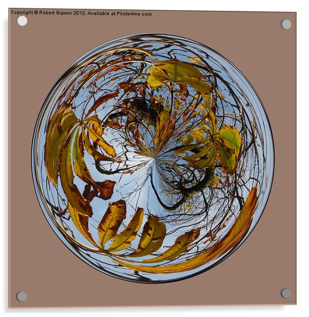 Spherical Autumn decay Acrylic by Robert Gipson