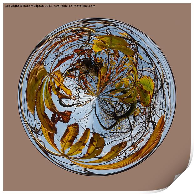 Spherical Autumn decay Print by Robert Gipson
