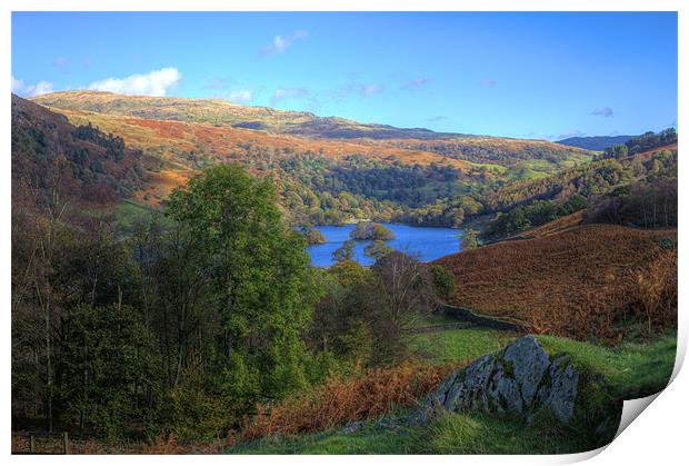 Rydal Water Print by Roger Green