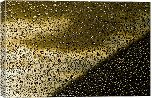 golden drops Canvas Print by Jo Beerens