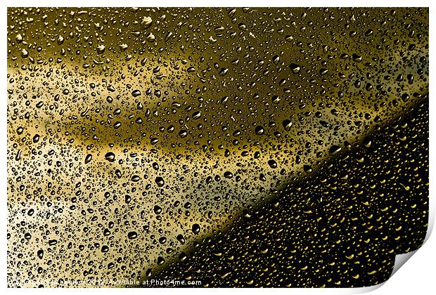 golden drops Print by Jo Beerens