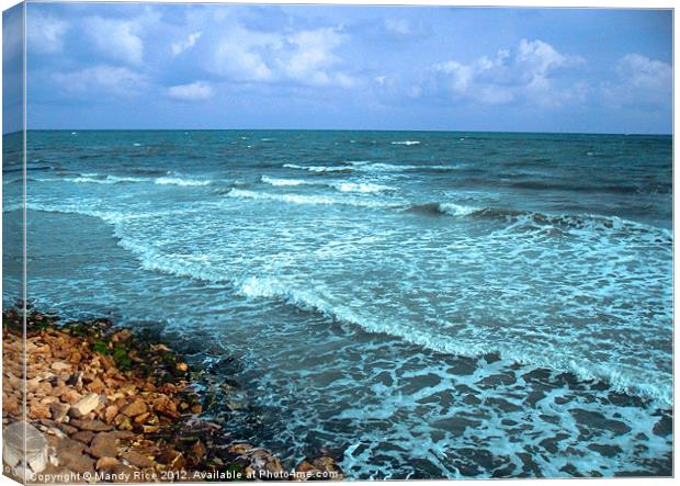 Tunisian coastline Canvas Print by Mandy Rice