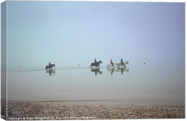 Sea Horses Canvas Print by Nigel Bangert