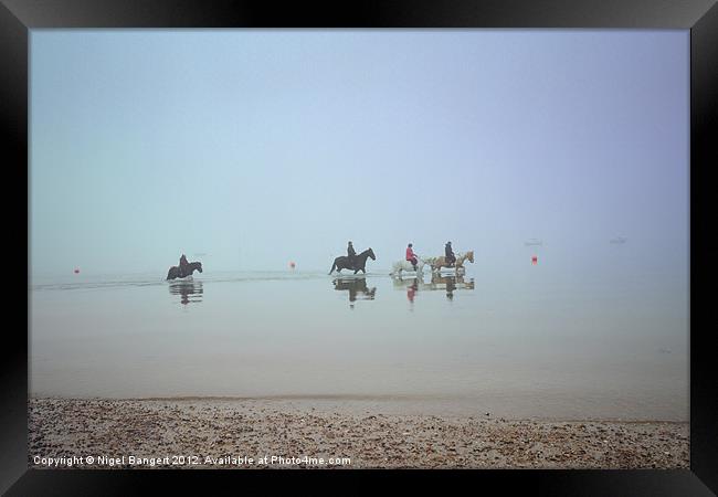 Sea Horses Framed Print by Nigel Bangert