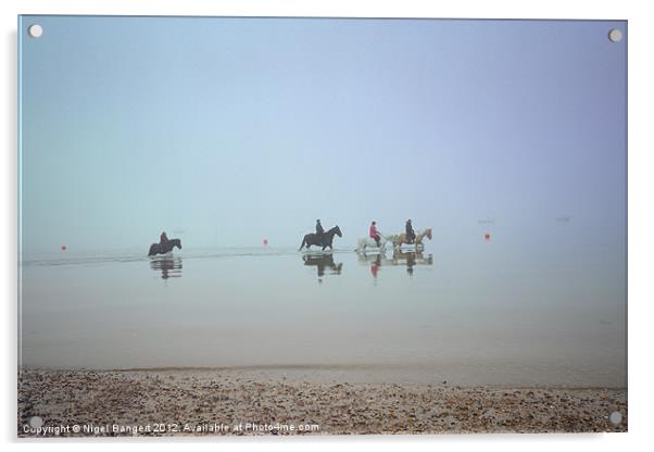 Sea Horses Acrylic by Nigel Bangert
