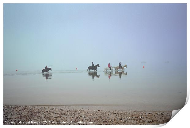 Sea Horses Print by Nigel Bangert