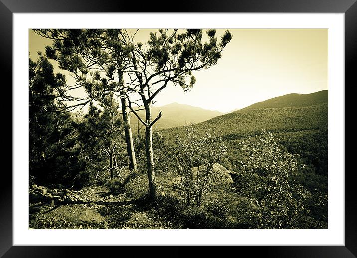 Mountain View In Mono Framed Mounted Print by justin rafftree