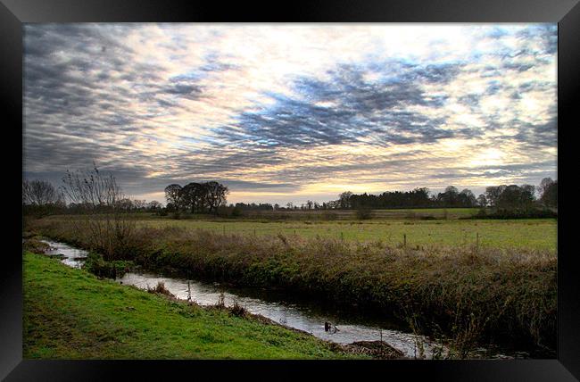 Norfolk Meadow Framed Print by Gypsyofthesky Photography