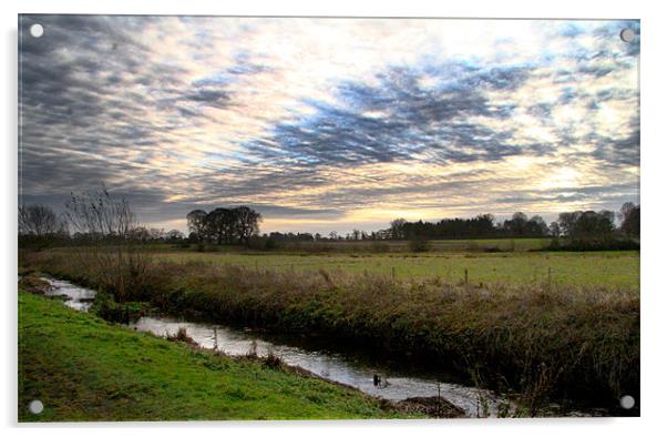 Norfolk Meadow Acrylic by Gypsyofthesky Photography