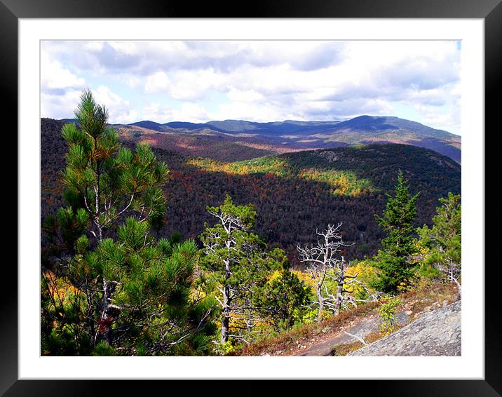 Adirondack Mountain View 2 Framed Mounted Print by justin rafftree