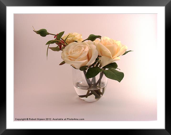Roses in jar Framed Mounted Print by Robert Gipson