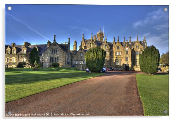 Pathway to Lurgan Castle Acrylic by David McFarland