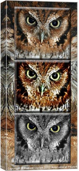 Screech owl triptych Canvas Print by Howard Corlett