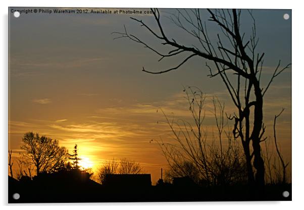 Bourne Valley Sunrise Acrylic by Phil Wareham