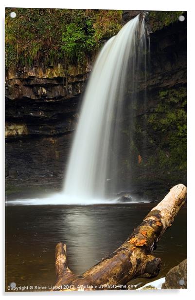 Sgwd Gwladus (The Lady Falls) Acrylic by Steve Liptrot