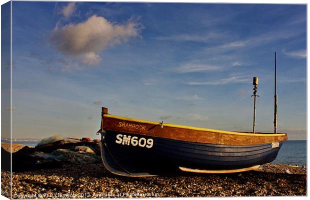 'Shamrock' Canvas Print by Phil Clements