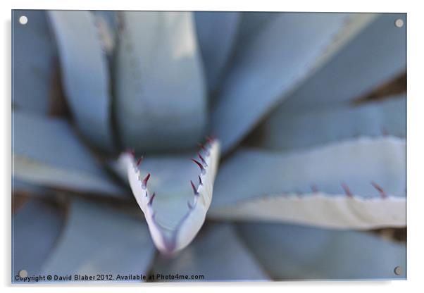 A Plant with teeth. Acrylic by David Blaber