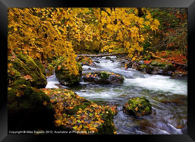 Surrounded by Autumn Framed Print by Mike Dawson