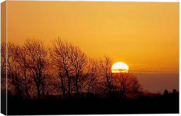 sunrise over the fens Canvas Print by Elouera Photography