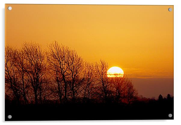 sunrise over the fens Acrylic by Elouera Photography