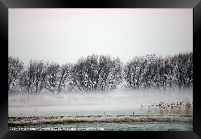 misty trees at nene washes Framed Print by Elouera Photography