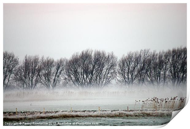 misty trees at nene washes Print by Elouera Photography