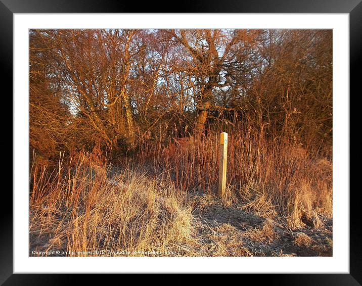 Early Morning Winter Sunshine Framed Mounted Print by philip milner