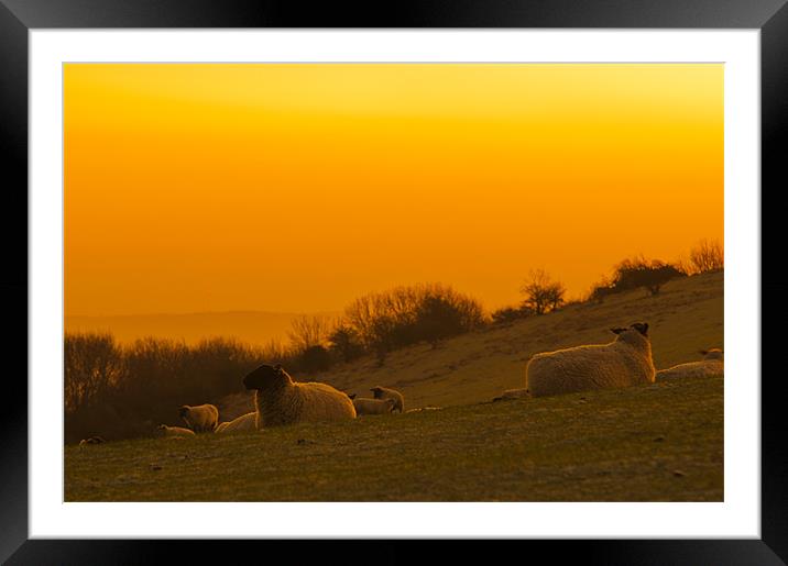 Sunrise on the South Downs Framed Mounted Print by Eddie Howland