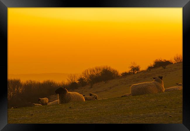 Sunrise on the South Downs Framed Print by Eddie Howland
