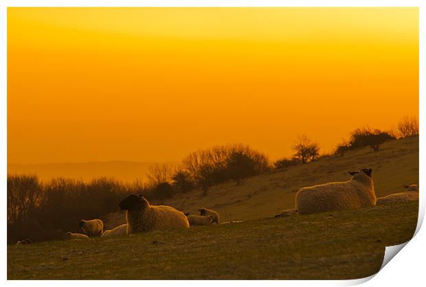 Sunrise on the South Downs Print by Eddie Howland