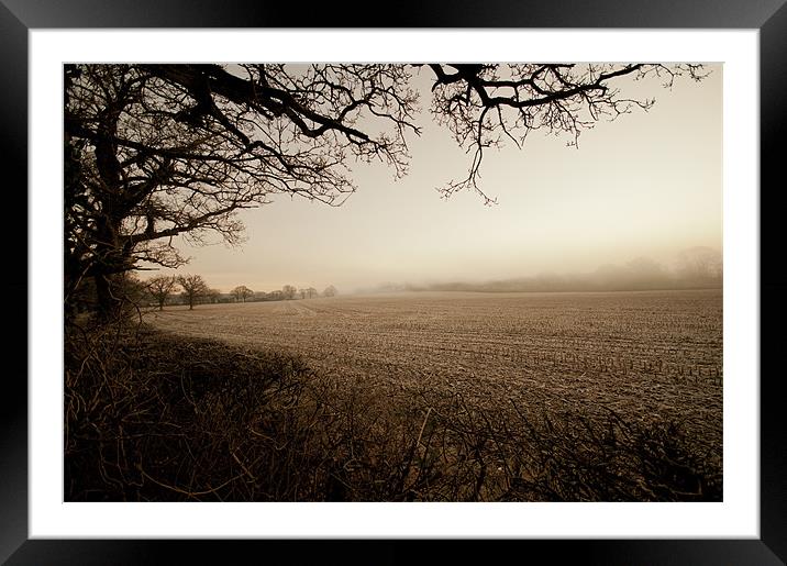 Misty Morning Framed Mounted Print by Eddie Howland
