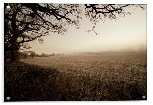 Misty Morning Acrylic by Eddie Howland