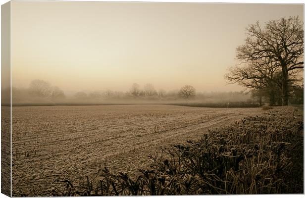 Into the Mist Canvas Print by Eddie Howland