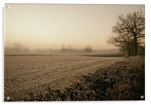 Into the Mist Acrylic by Eddie Howland