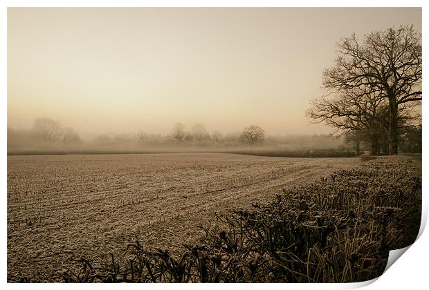 Into the Mist Print by Eddie Howland